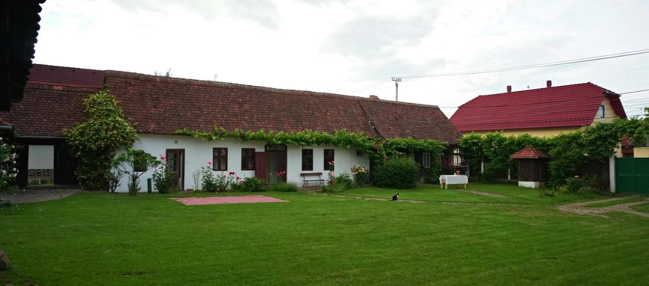 Casa Rudi & Ella Ξενοδοχείο Sălişte Εξωτερικό φωτογραφία